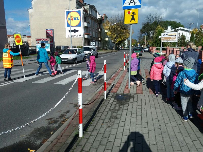 Misie bezpieczne na drodze