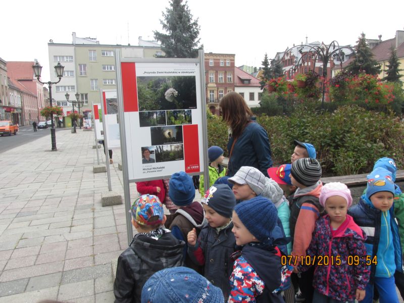 Udział w wystawie