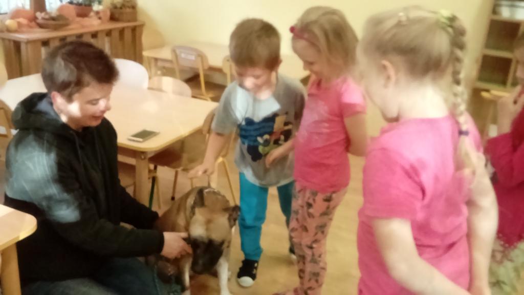 Październik – tydzień czwarty. Tematyka tygodnia: Nasi domowi ulubieńcy.