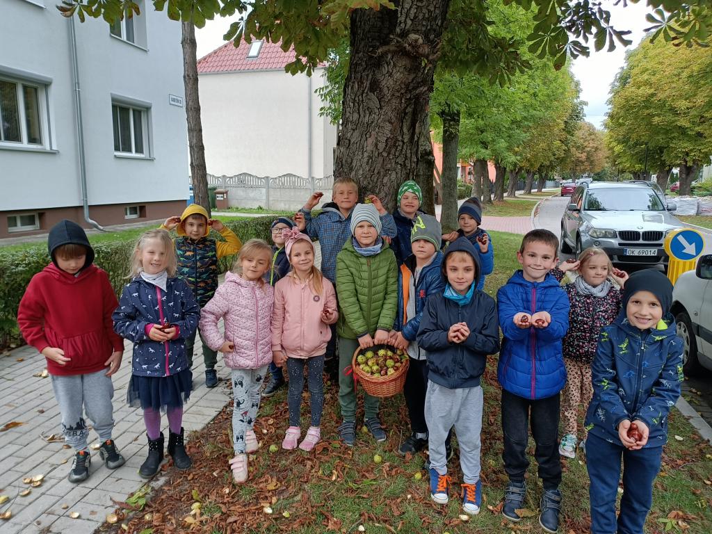 Jak minął wrzesień grupie Misiów