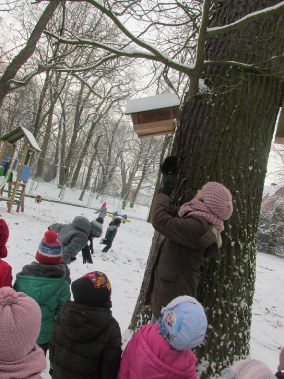 Co robią zwierzęta zimą?